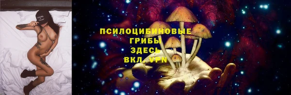 шишки Алексин