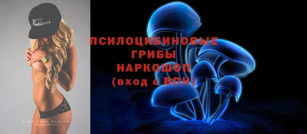 шишки Алексин