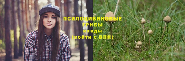 шишки Алексин