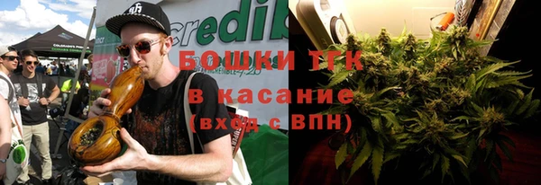 стаф Каменск-Шахтинский