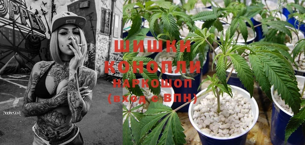 сатива Алексеевка