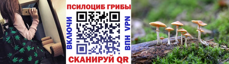 ОМГ ОМГ сайт  Чебоксары  Галлюциногенные грибы мицелий 