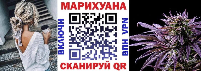 где найти   Чебоксары  KRAKEN маркетплейс  Бошки Шишки планчик 